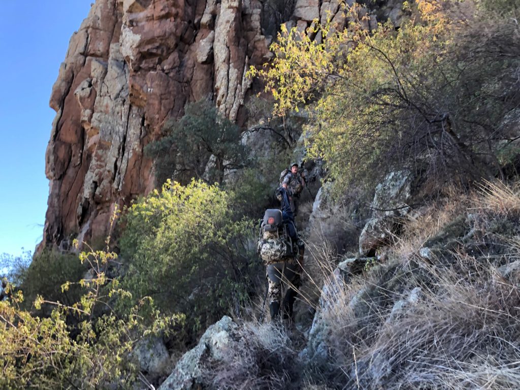 Hunting Coues Deer is similar to hunting sheep